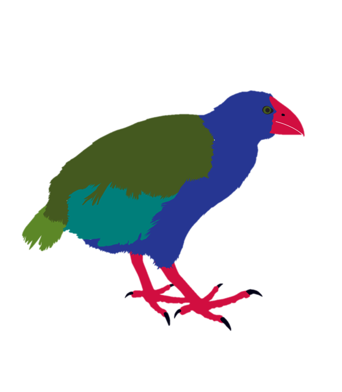 Takahe New Zealand Native Bird Socks New Zealand Socks Gift Socks Christmas Socks