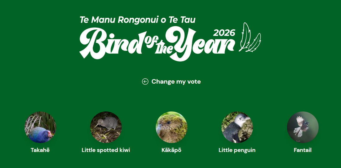 Bird of the Year 2026 - The manu who won my votes!